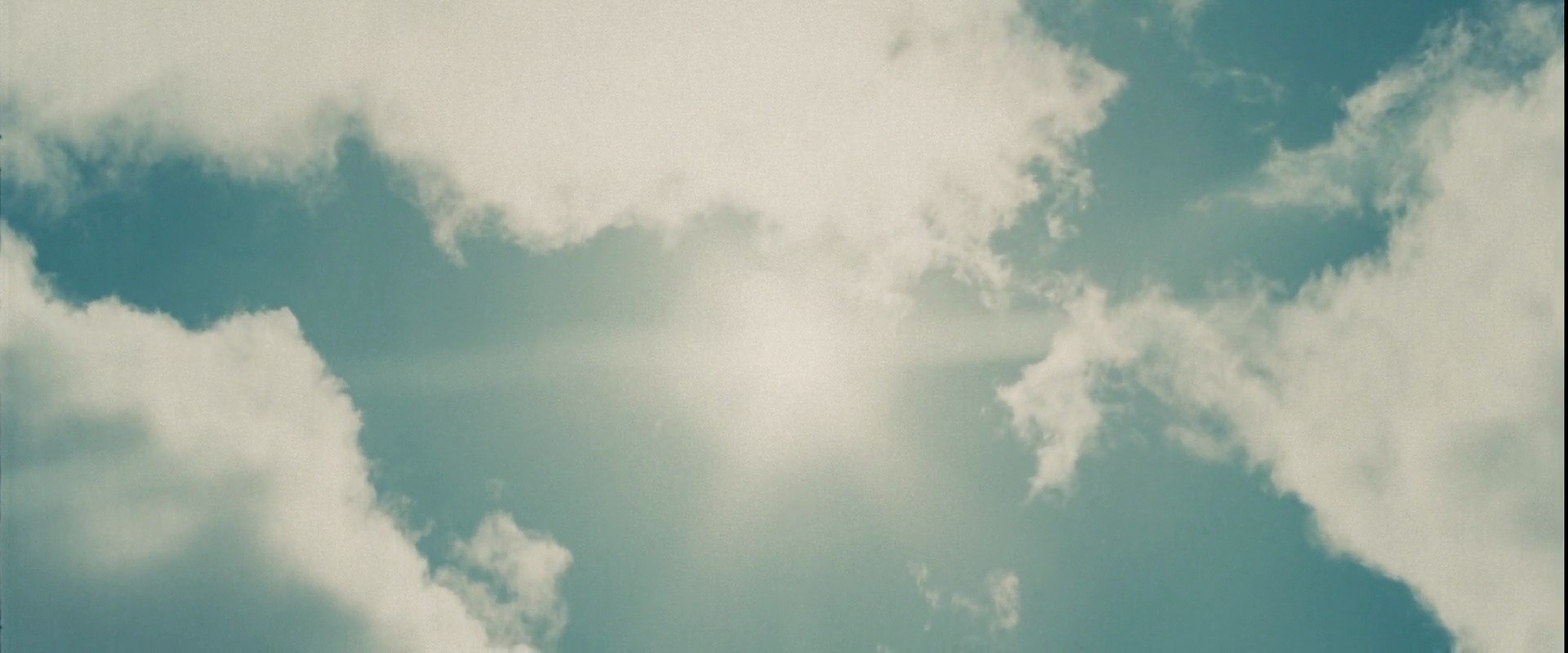 Shot 2008
