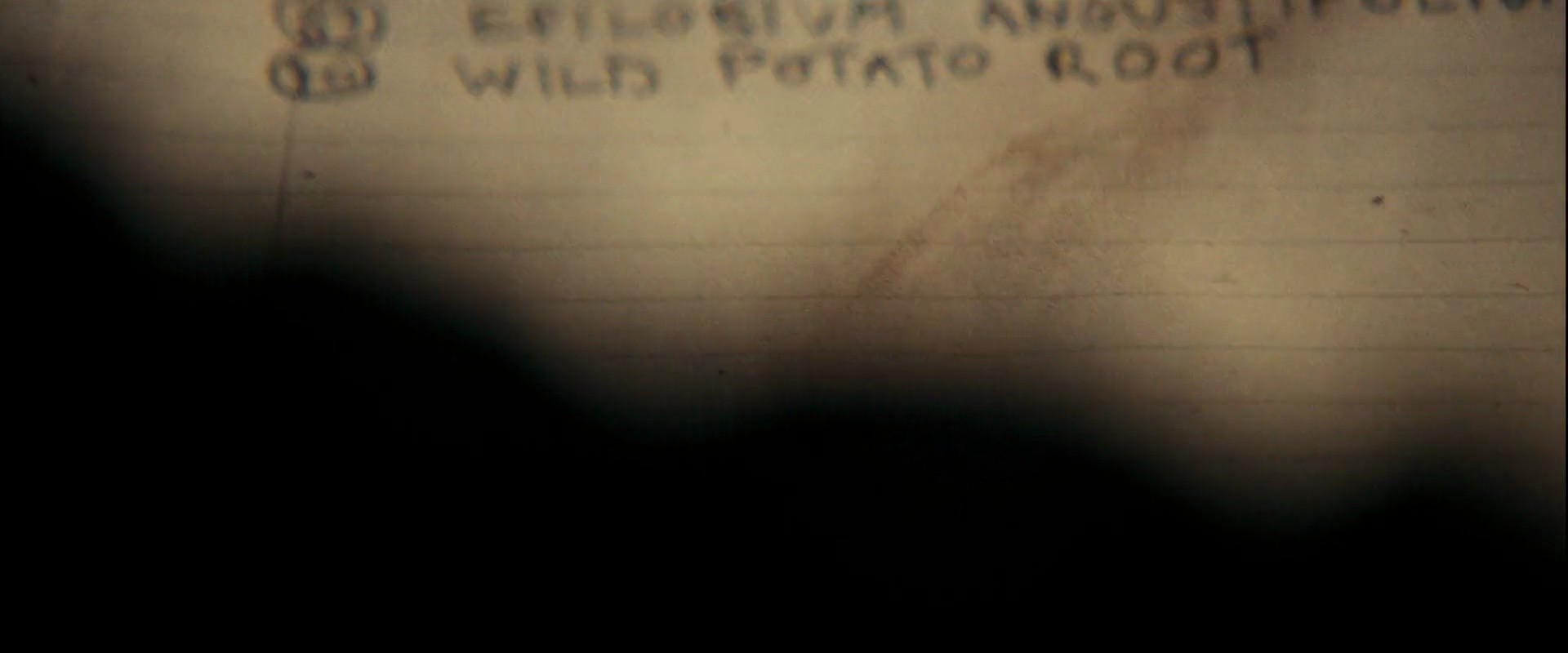 Shot 1817