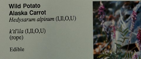 Shot 1843