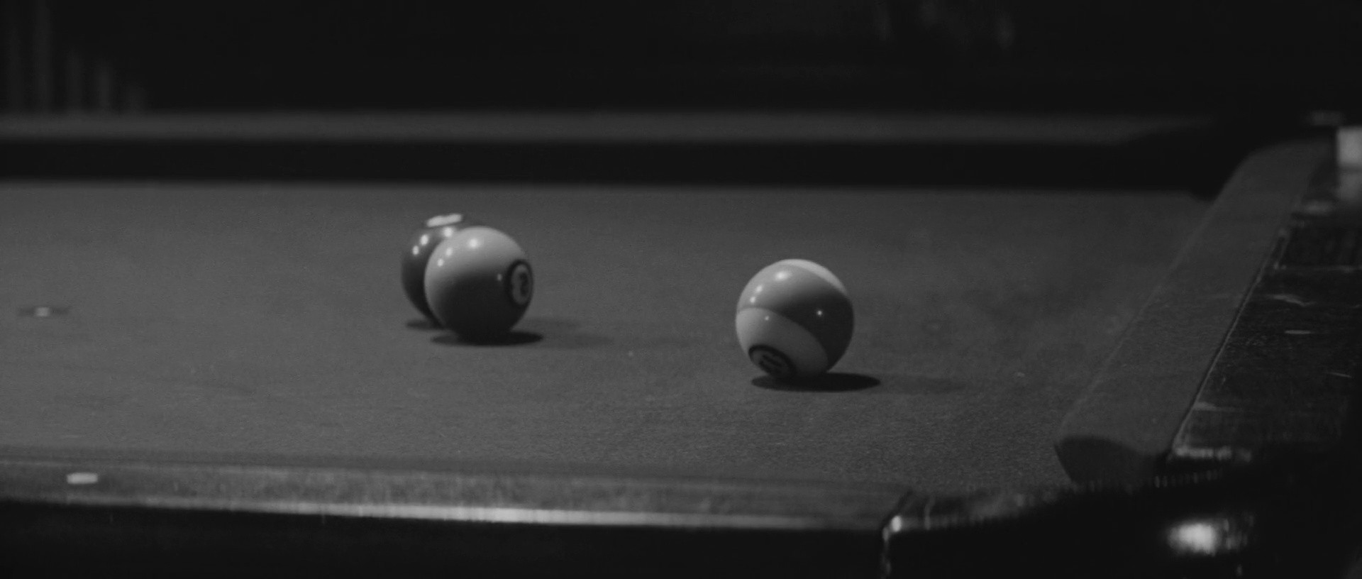 Shot 204
