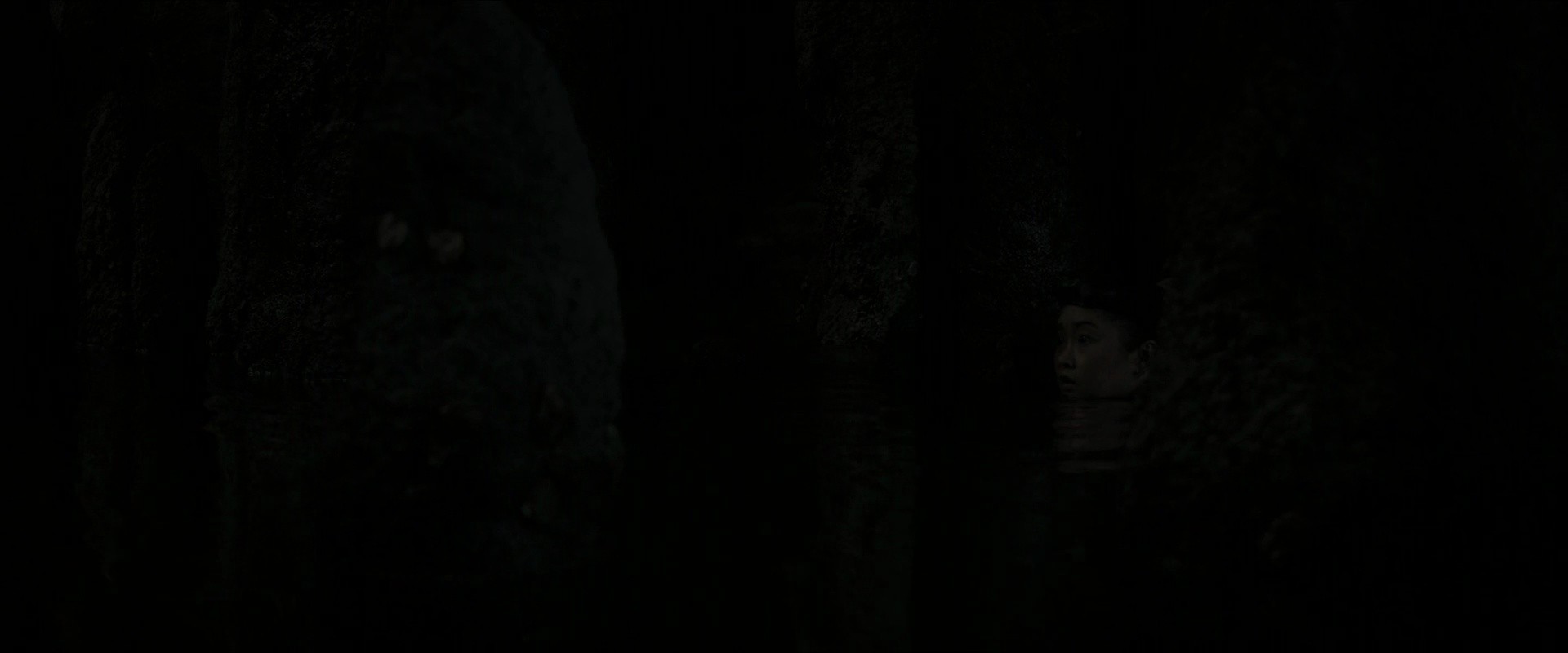 Shot 1161