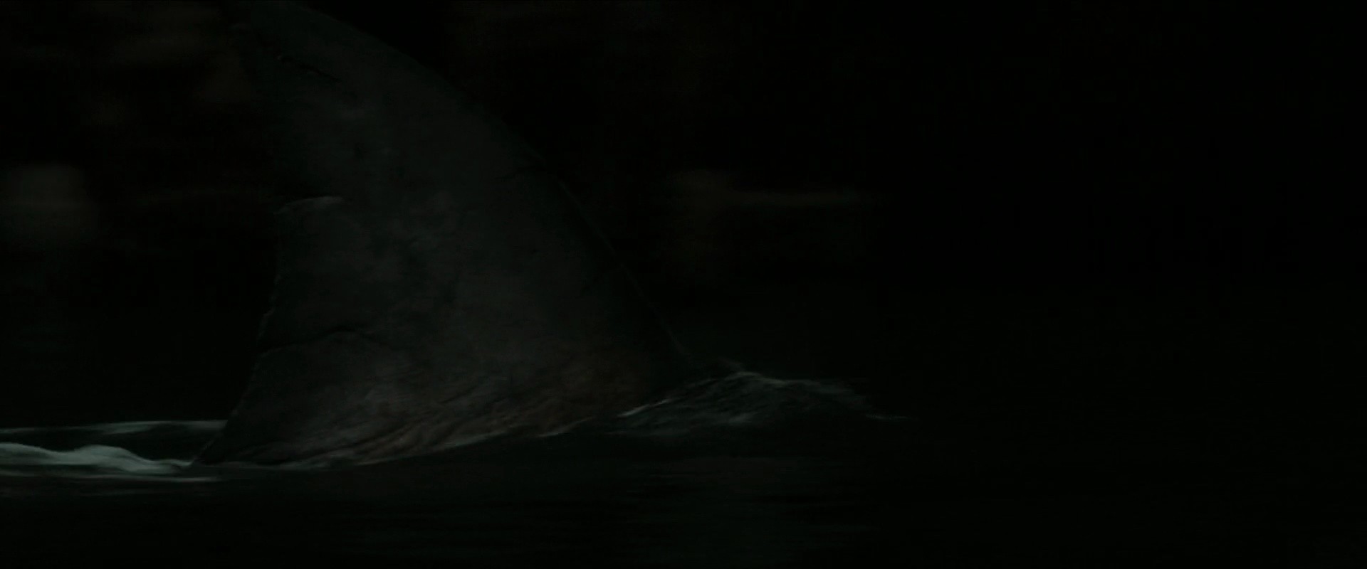 Shot 1425