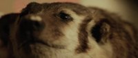 Shot 12