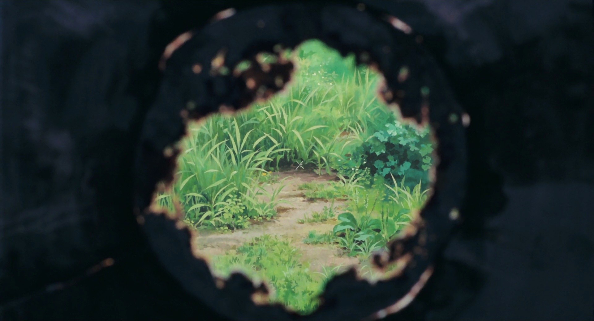 Shot 298