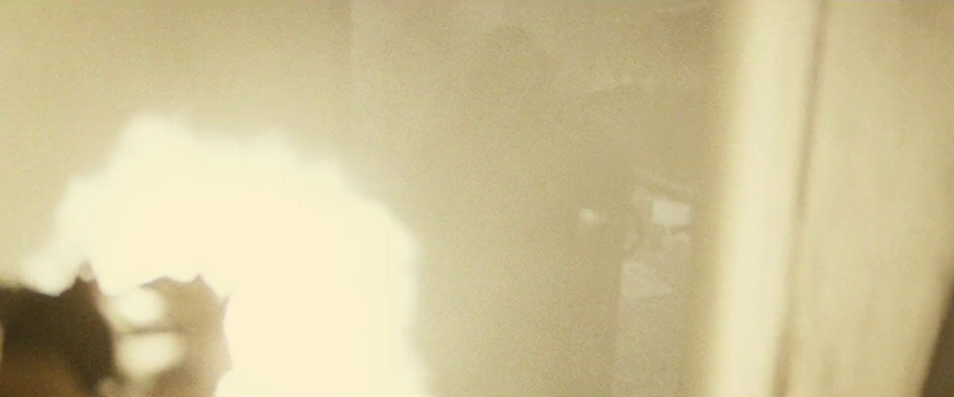 Shot 1702