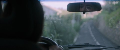 Shot 561