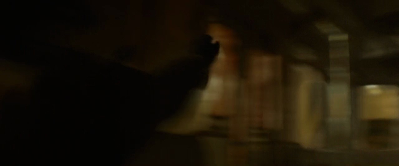 Shot 1199