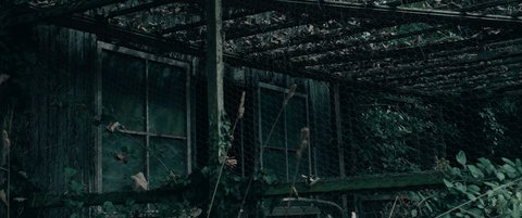 Shot 517
