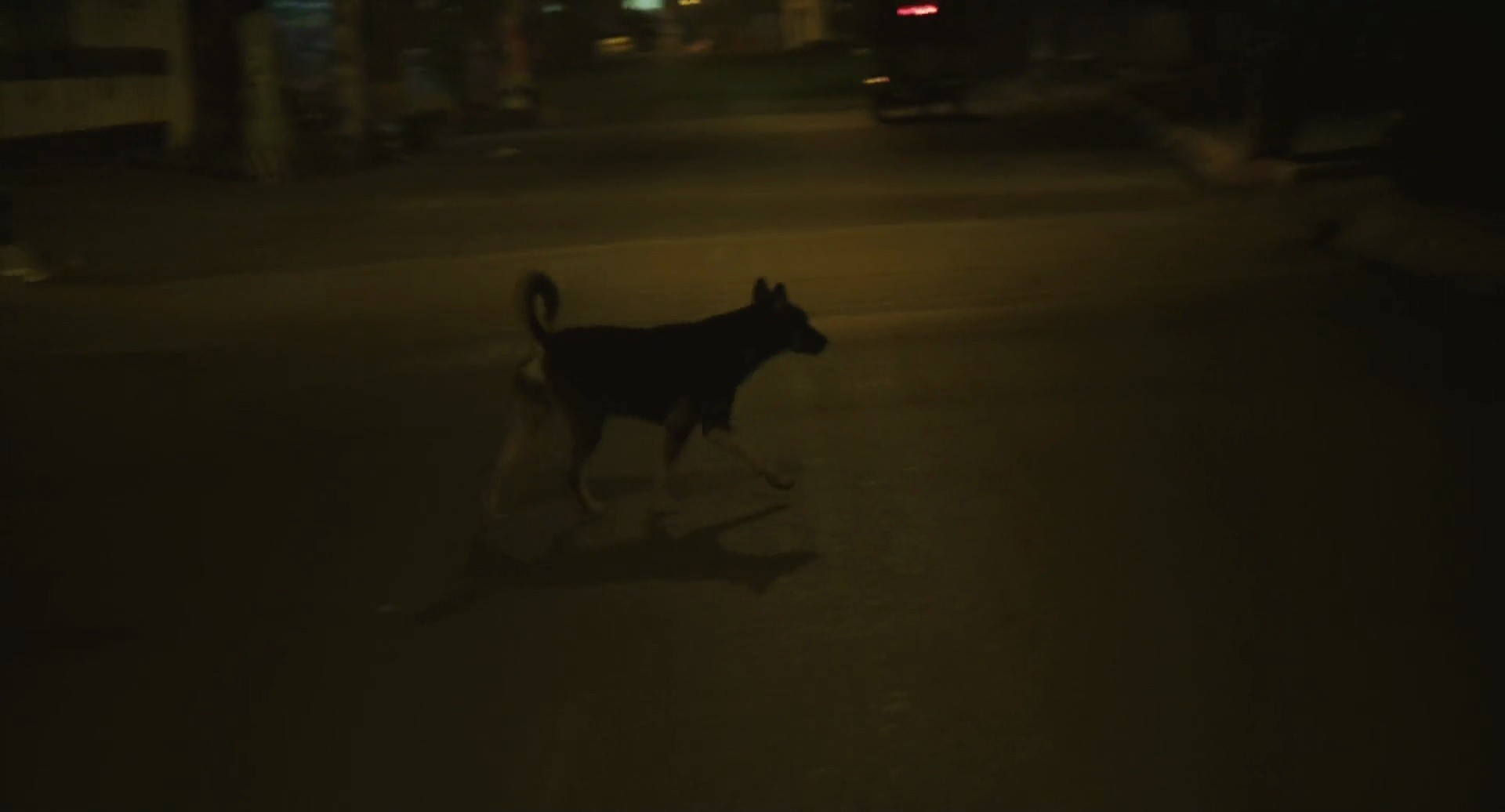 Shot 1284