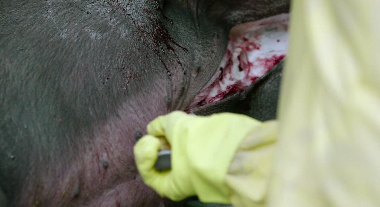 Shot 806