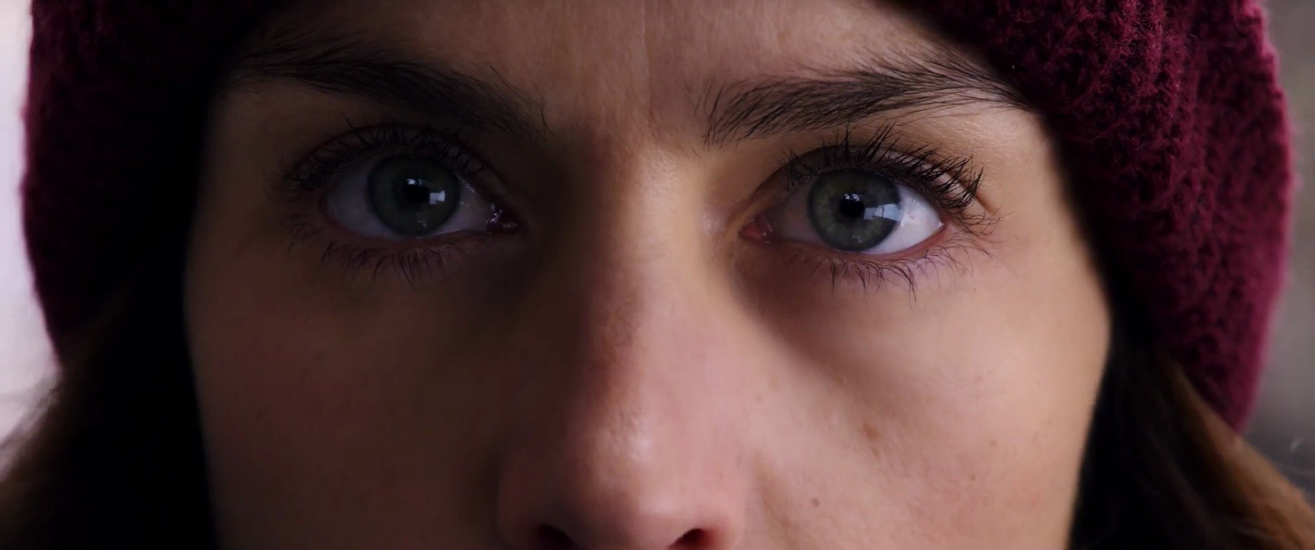 Shot 341