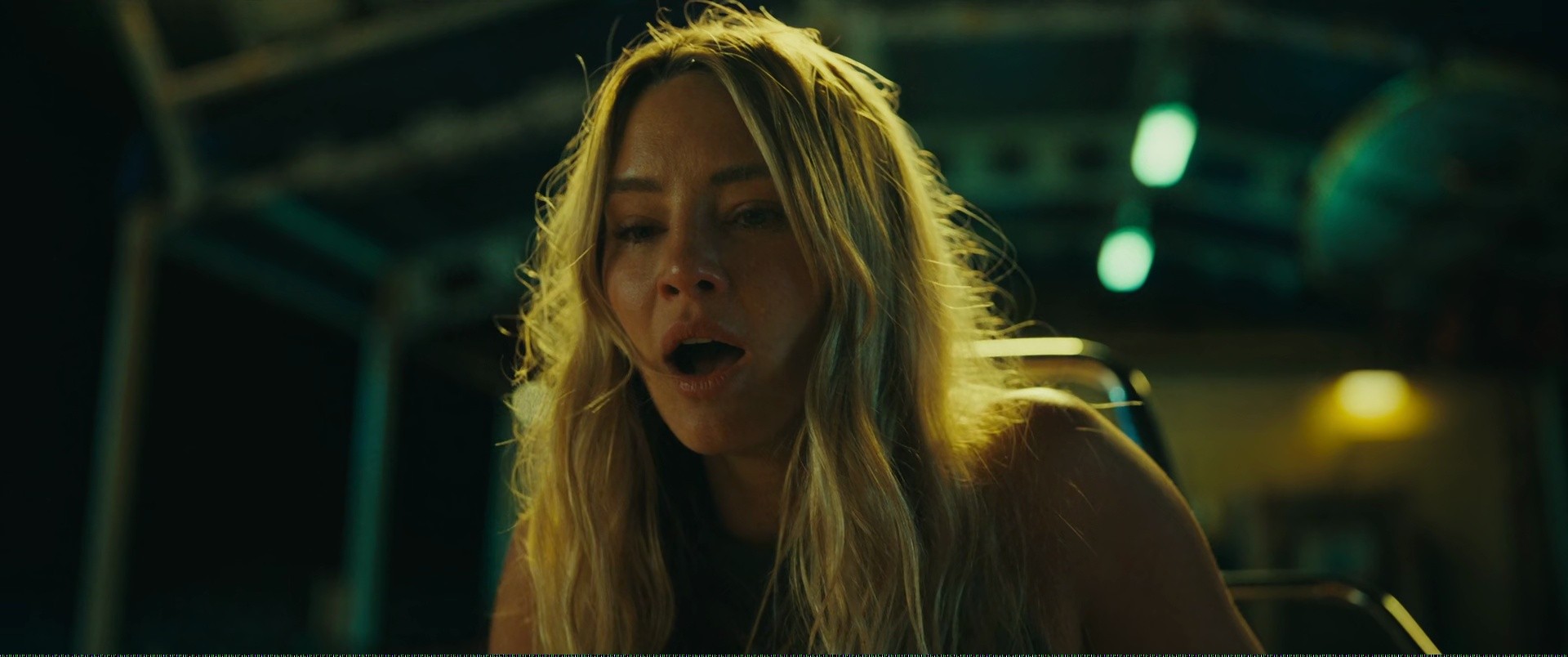Shot 510