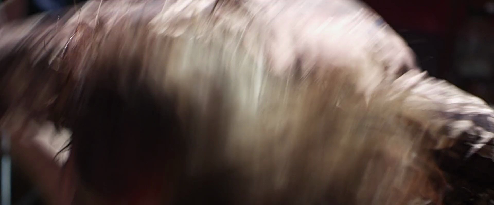 Shot 1191