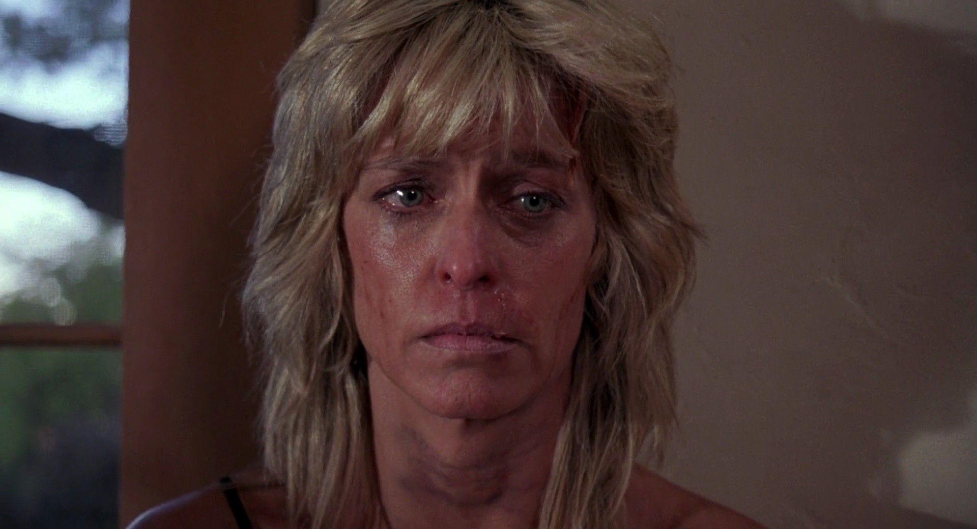 Shot 498