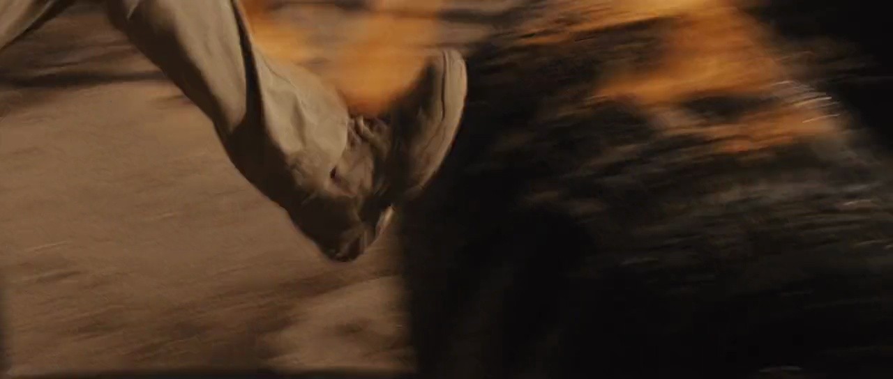 Shot 205