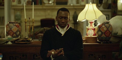 Shot 1568