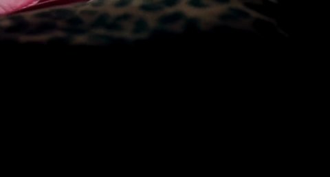 Shot 799