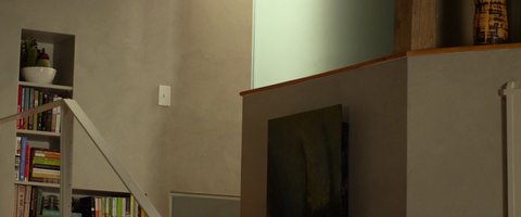 Shot 450