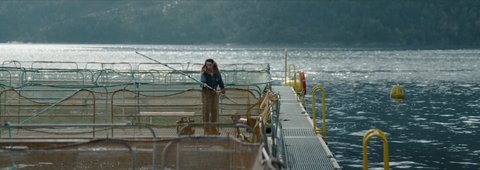 Shot 355