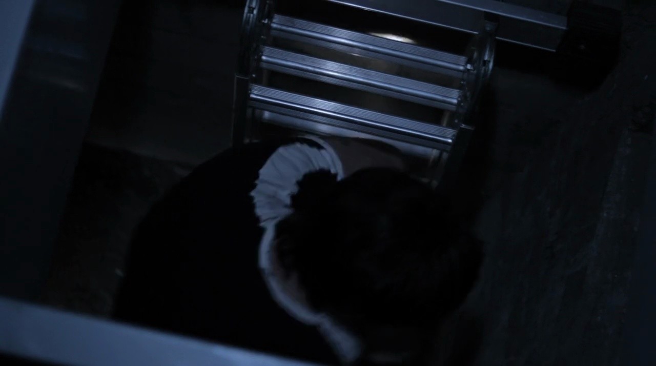 Shot 1337