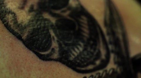 Shot 1310