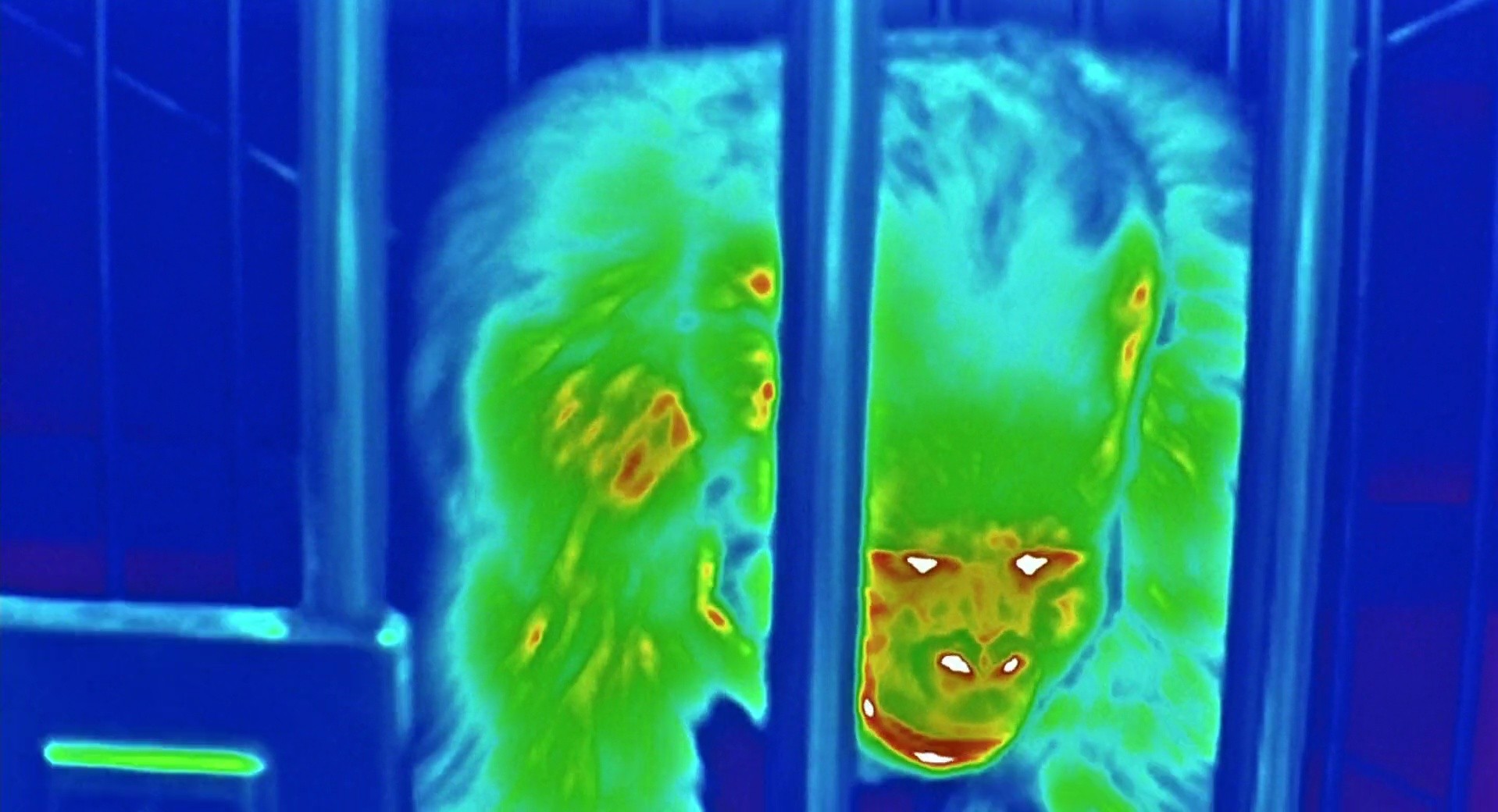 Shot 126