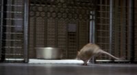 Shot 5