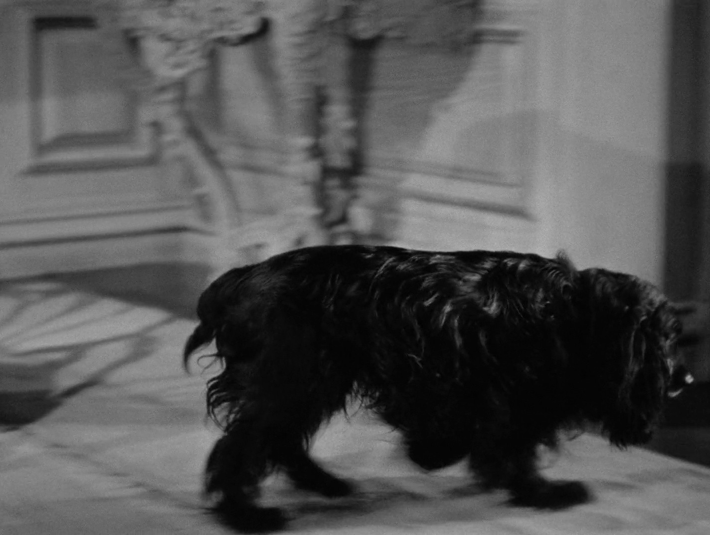 Shot 382