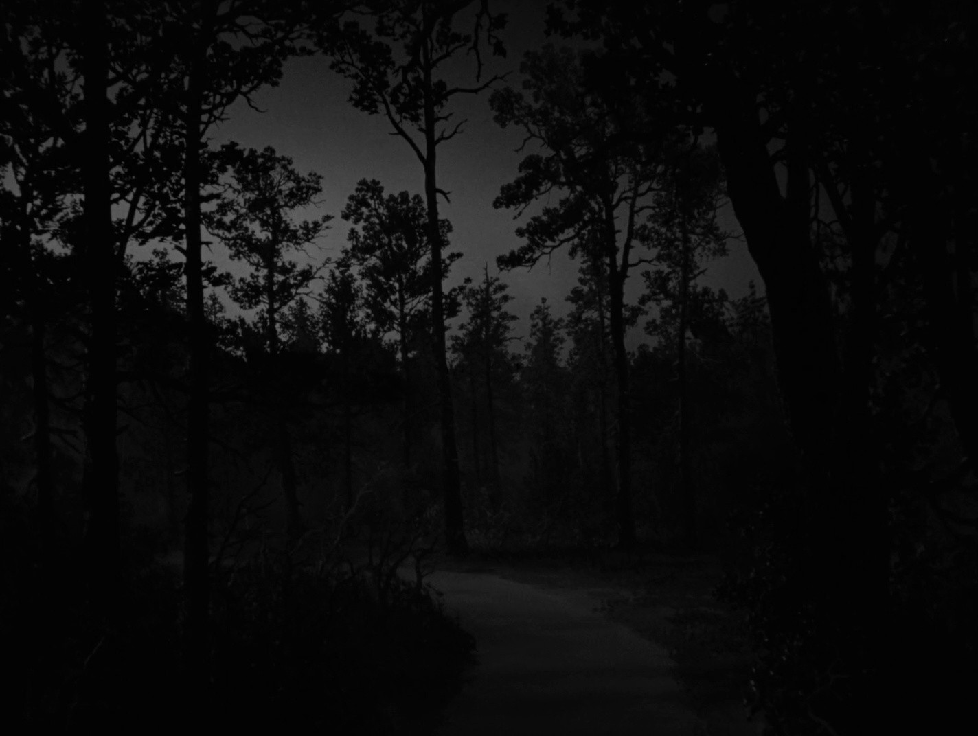 Shot 1105