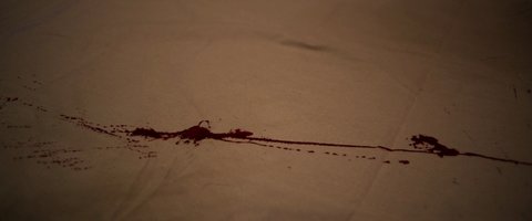 Shot 1541