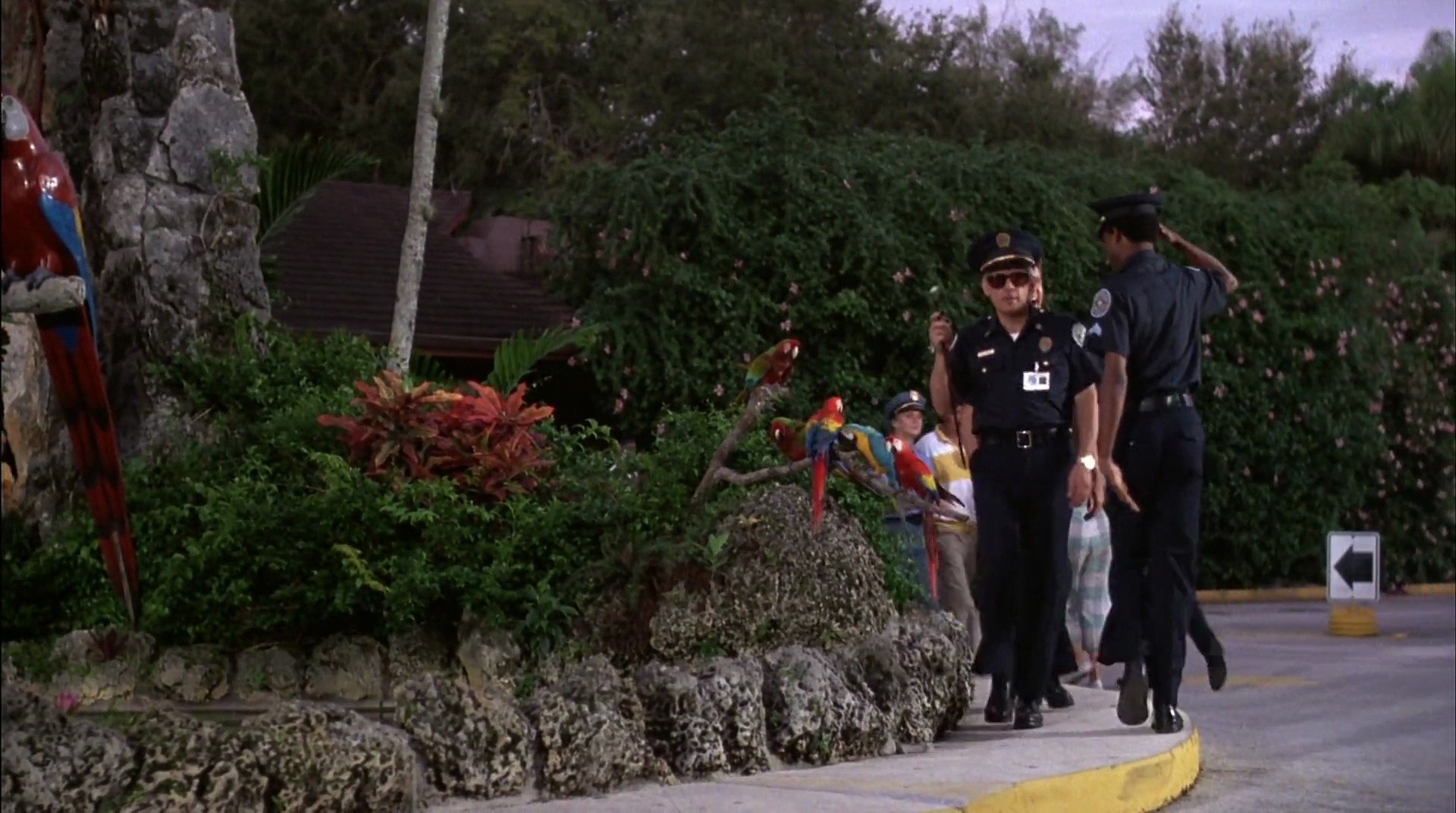 Shot 532