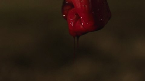 Shot 907