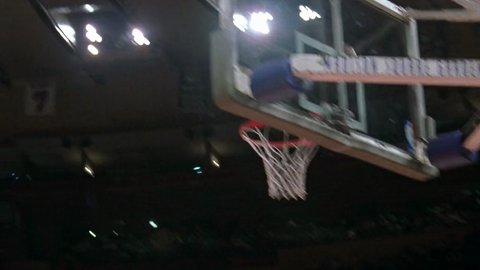 Shot 530