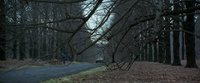 Shot 46