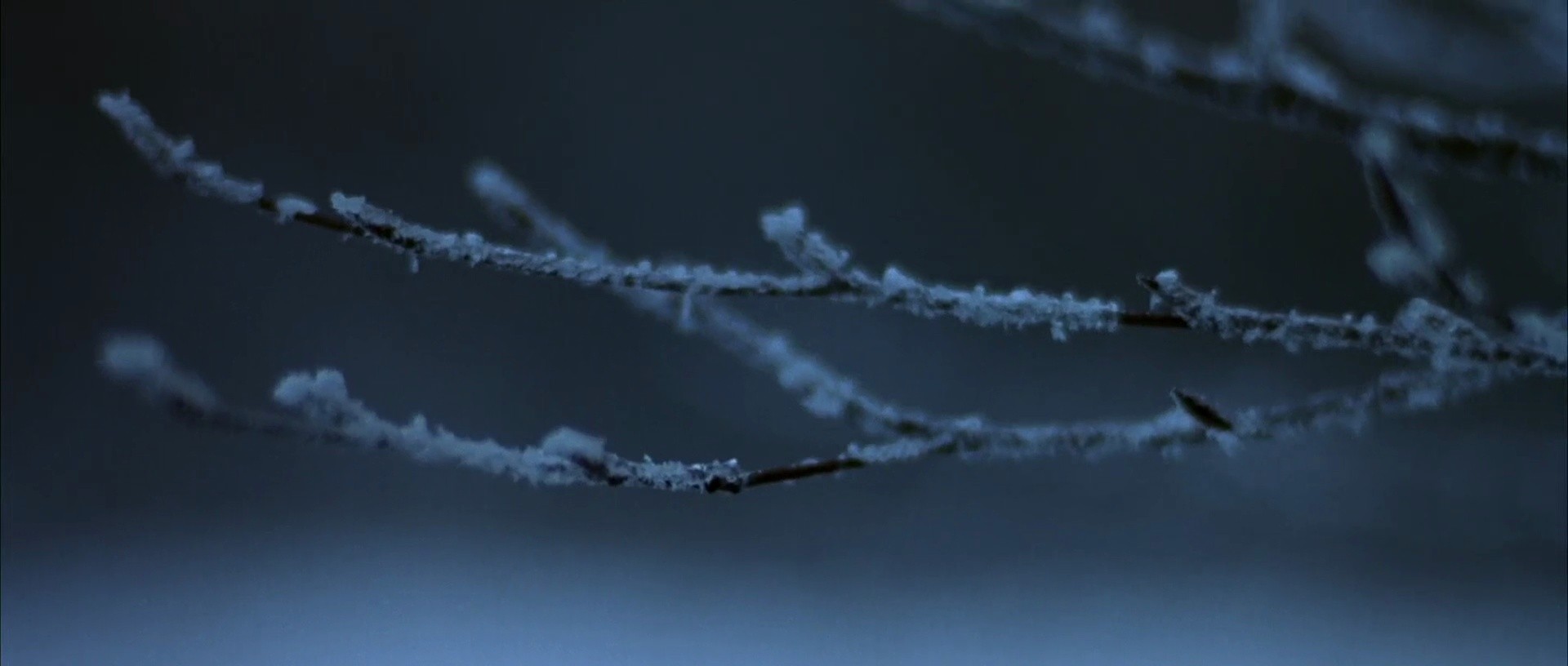 Shot 1673