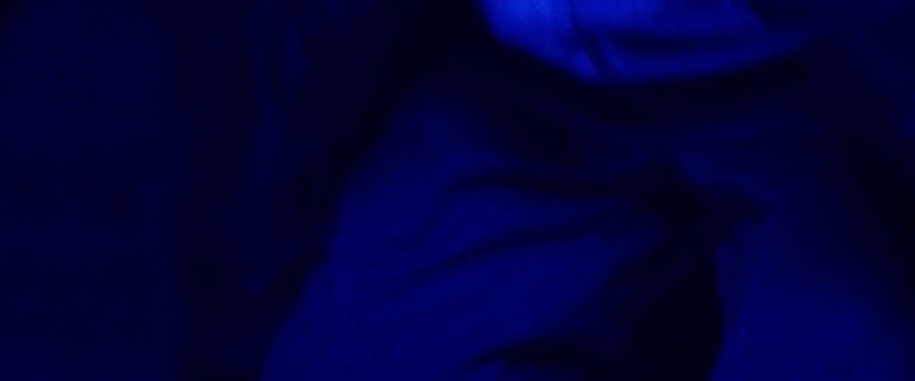 Shot 1202