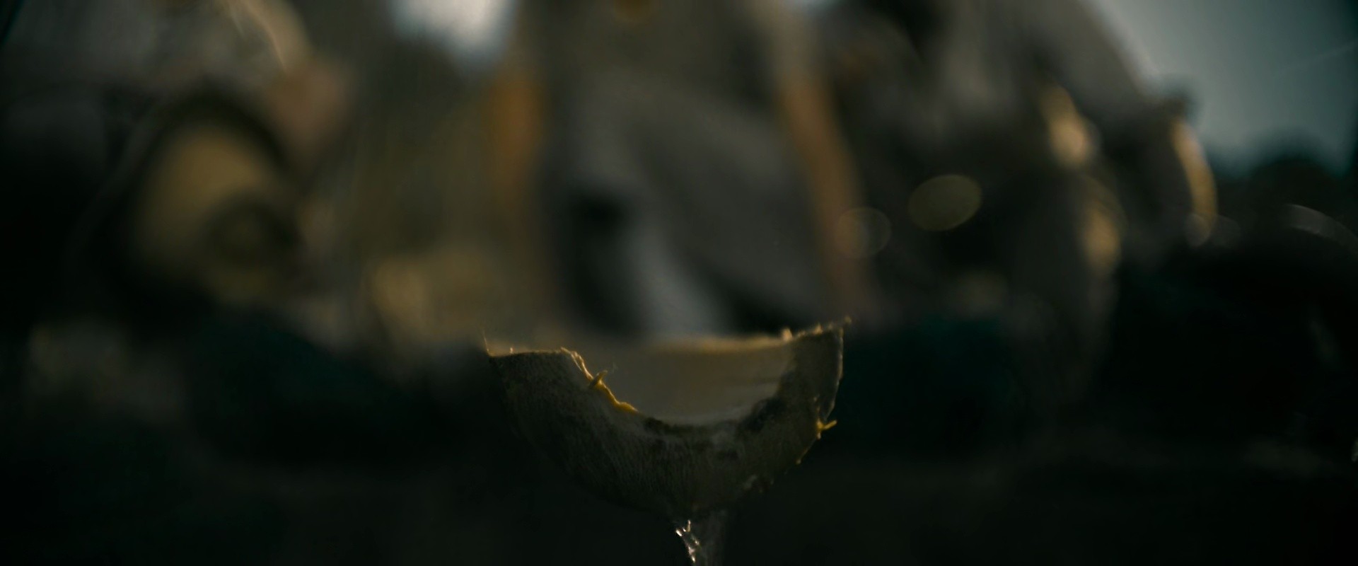Shot 202