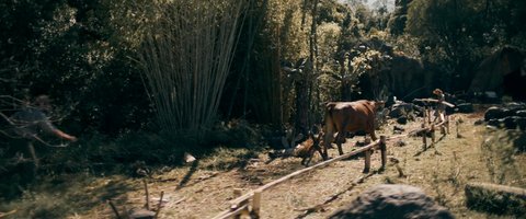 Shot 548