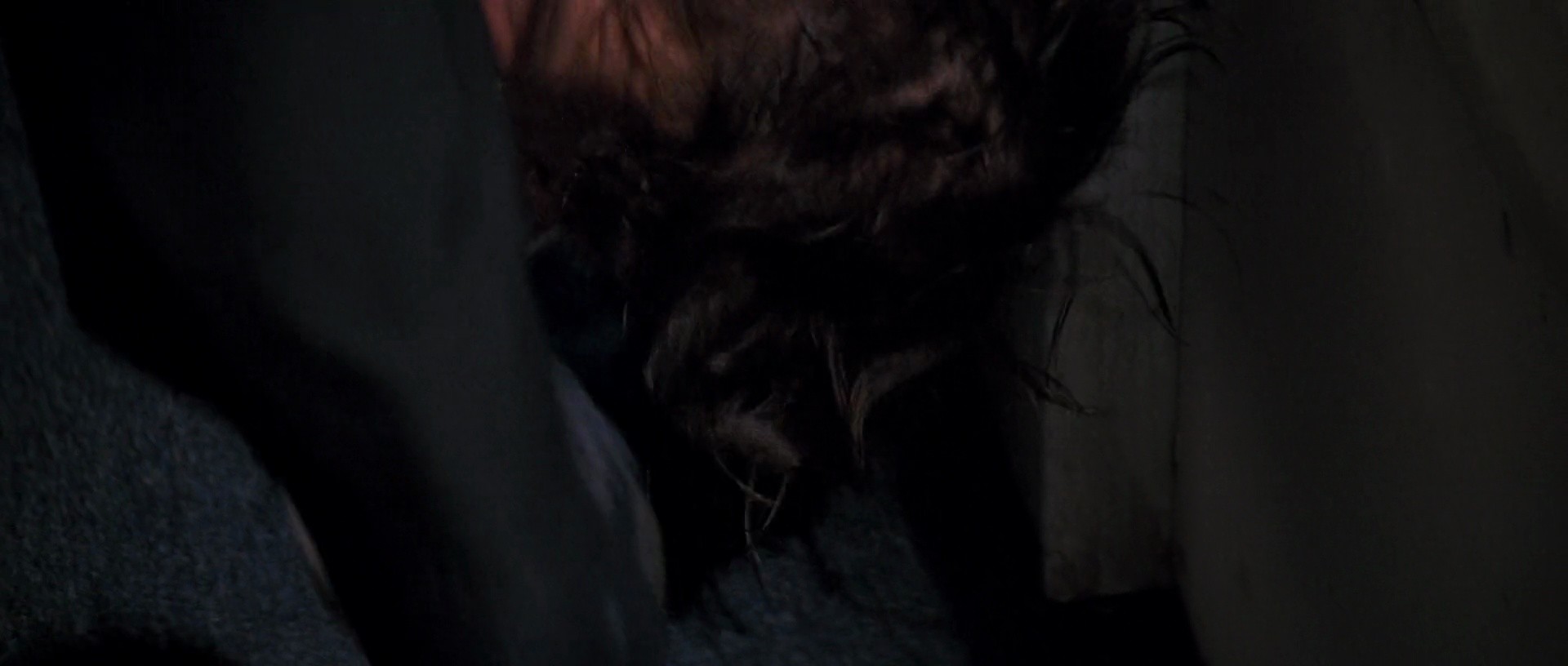 Shot 1411
