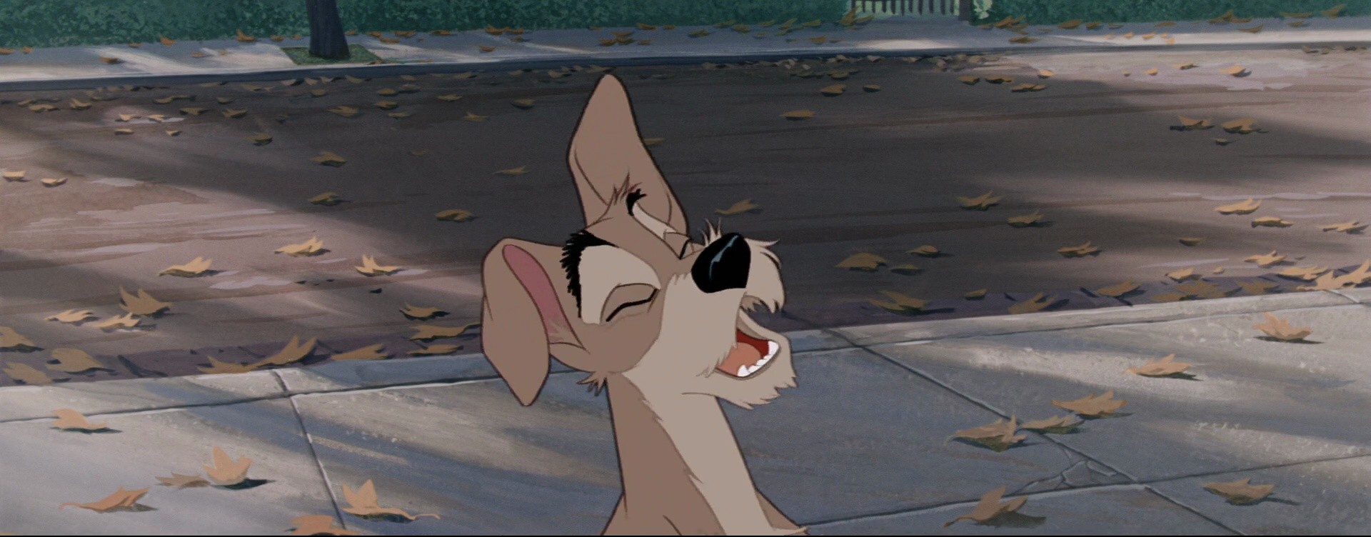 Shot 156