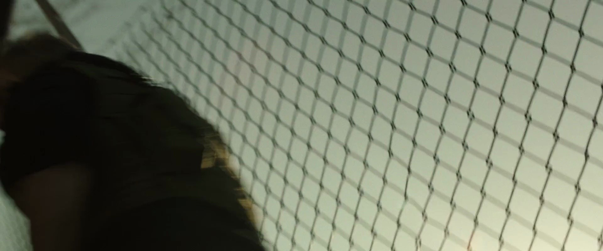 Shot 2006