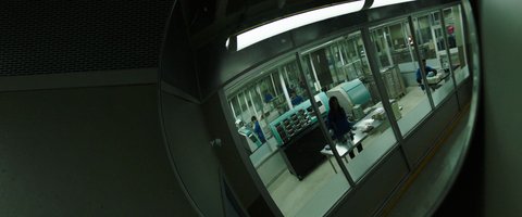 Shot 701