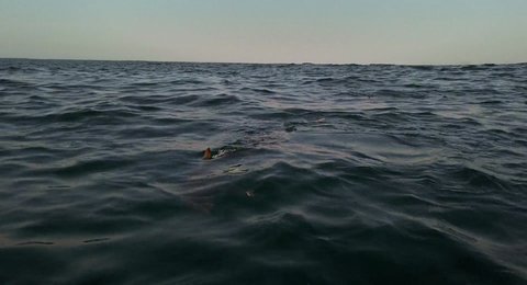 Shot 869