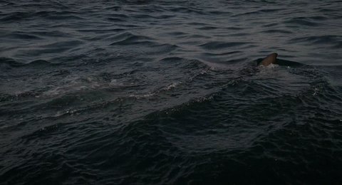 Shot 854