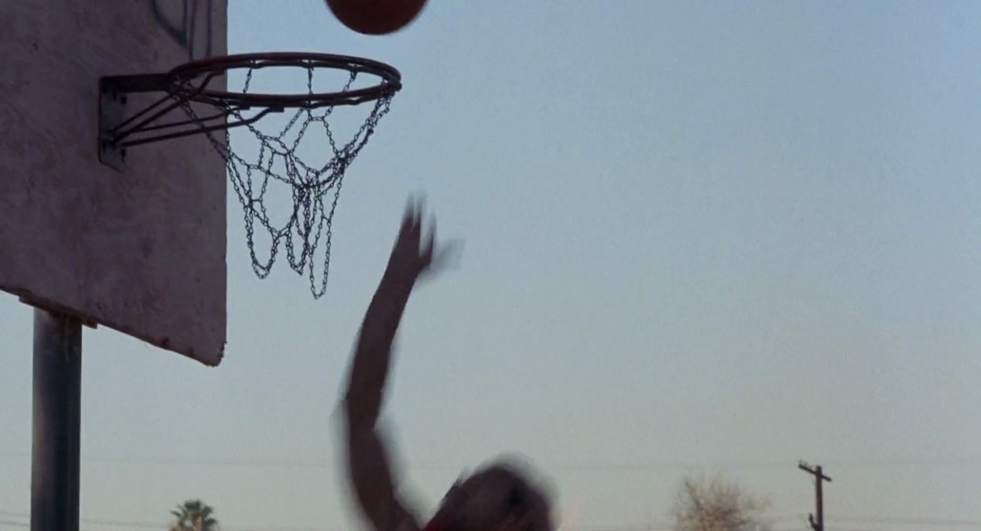 Shot 506