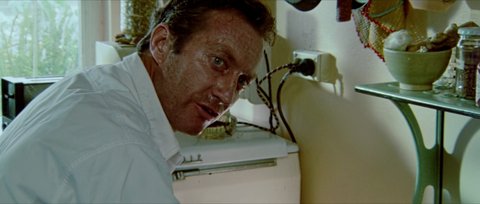 Shot 496