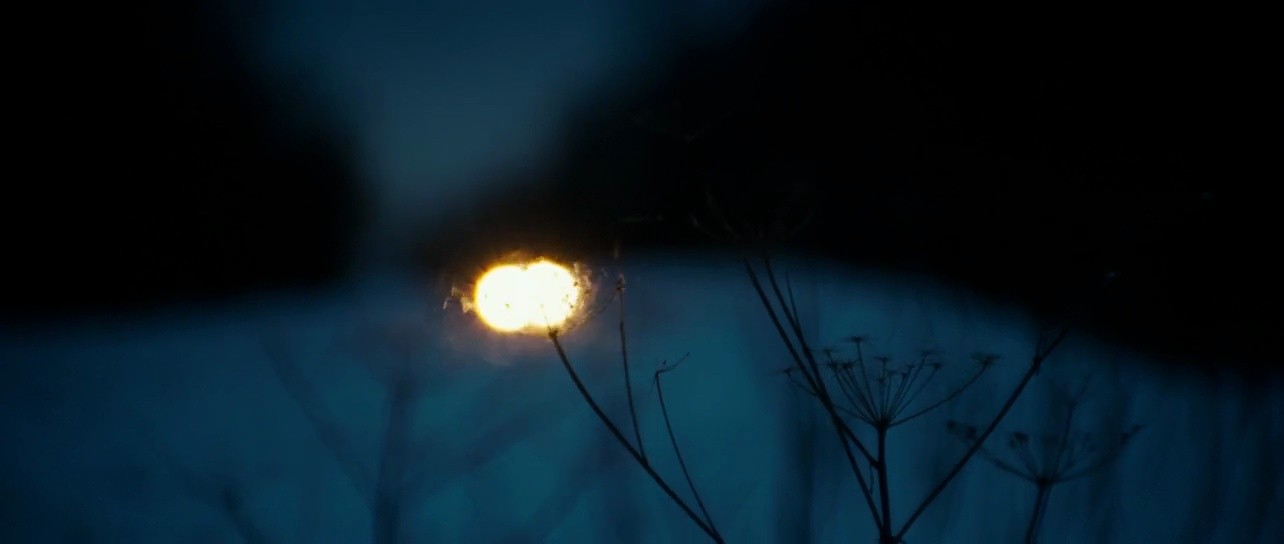Shot 11