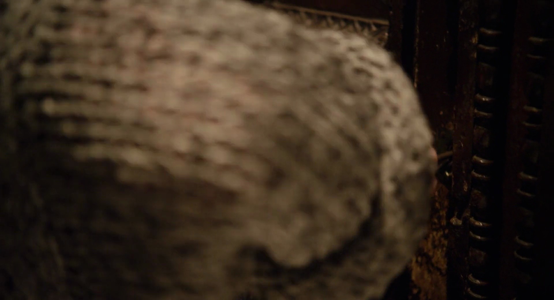 Shot 124