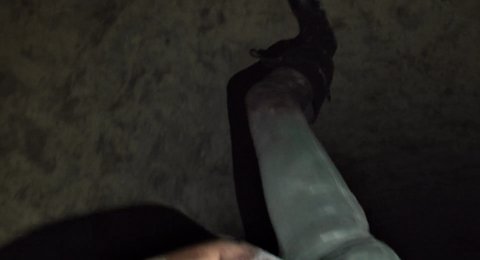 Shot 891