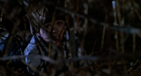 Shot 186